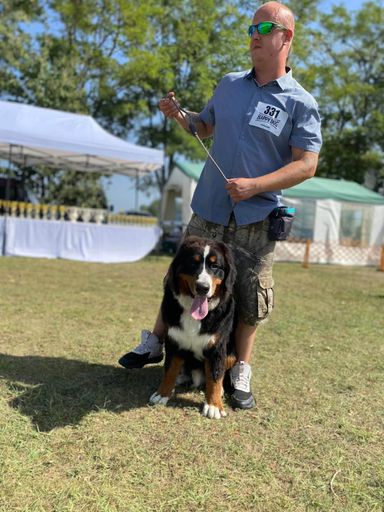 Antal Ádám kutyakiképzősegéd